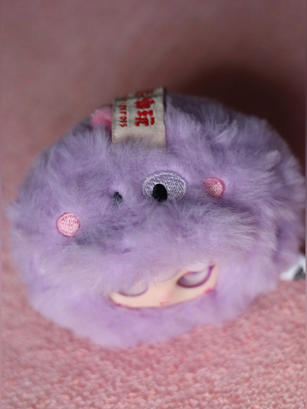 KIMIPAPA - Picture 4 of 6